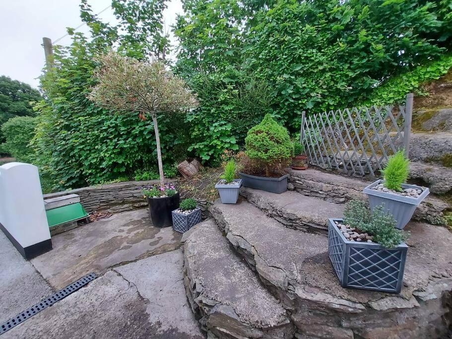 Riverside Retreat Llandysul Экстерьер фото